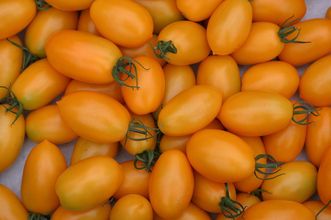 Romų Pomidorai, Pomidorai, Salotos, Daržovės, Geltona, Frisch, Sveikas, Pomidorų Vaisiai, Daržovių Auginimas, Nachtschattengewächs