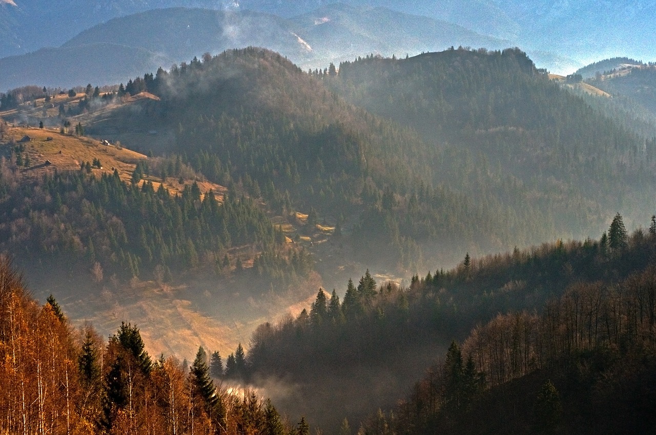 Karpatai, Piatra Craiului, Kalnas, Miškas, Kraštovaizdis, Romanija, Kalnai, Migla, Ruduo, Gamta