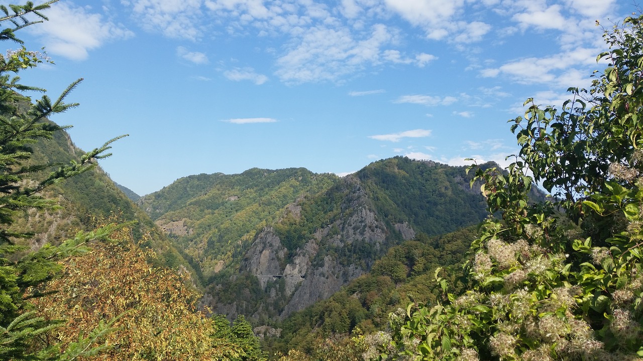 Romanija, Gamta, Kalvos, Medžiai, Dangus, Diena, Mėlynas Dangus, Kalnas, Turizmas, Kelionė