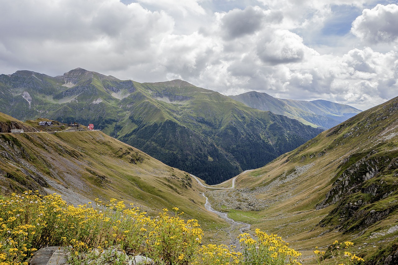 Romanija, Gėlės, Kraštovaizdis, Kelionė, Transilvanija, Europietis, Šalis, Karpatai, Transfagarasan, Fagaras