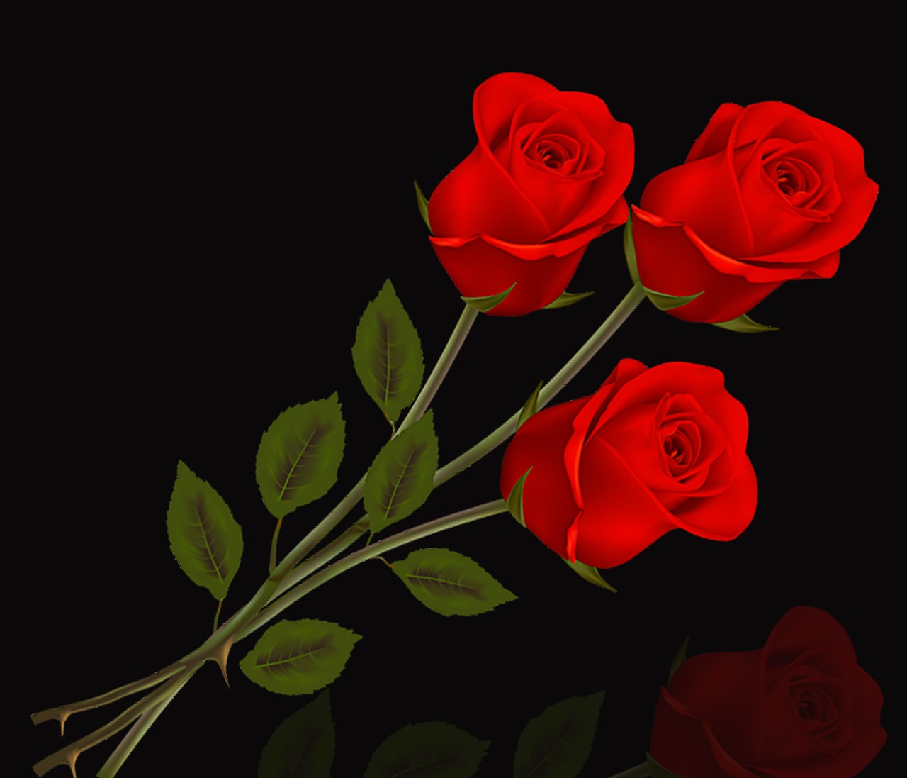 Rosa, Gėlė, Romantiškas, Žiedlapis, Rožės Raudonos, Rožės, Gėlės, Juodas Fonas, Atspindys, Skirta
