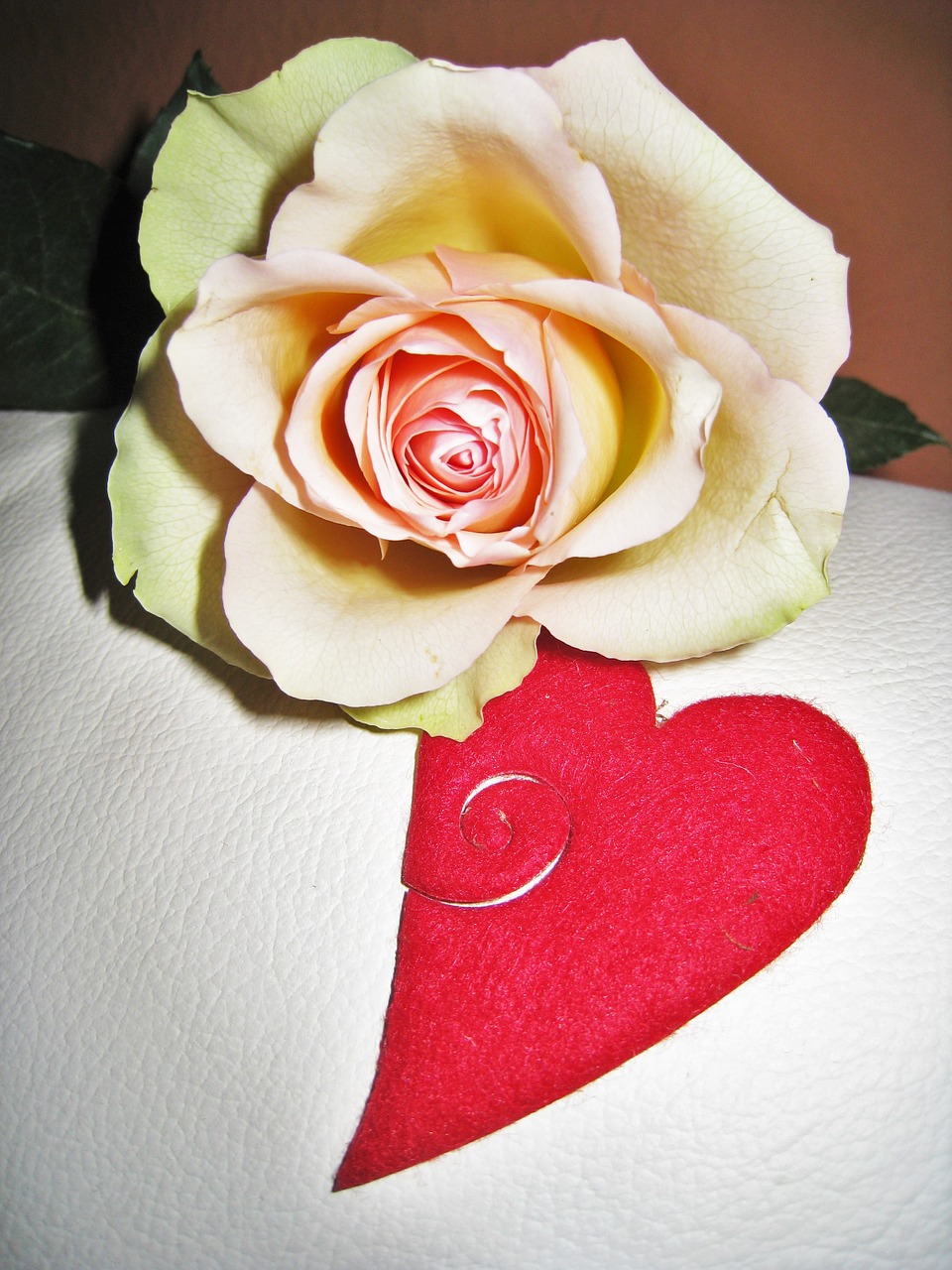 Rožė, Širdis, Valentino Diena, Pasveikinimas, Aš Tave Myliu, Motinos Diena, Vestuvių Dieną, Gimtadienis, Meilė, Gėlė