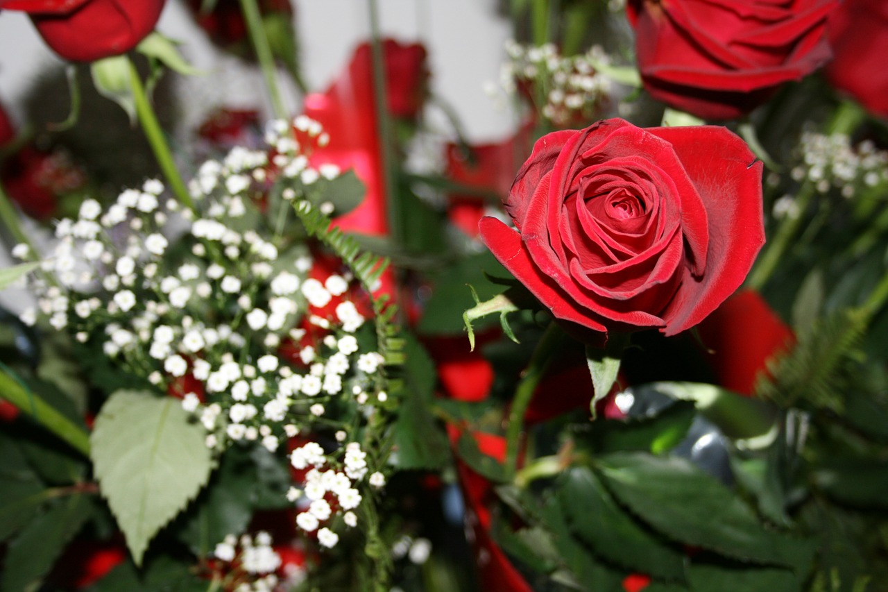 Rožė, Raudonos Rožės, Gėlės, Raudona, Meilė, Romantika, Dovanos, Valentine, Romantiškas, Aistra