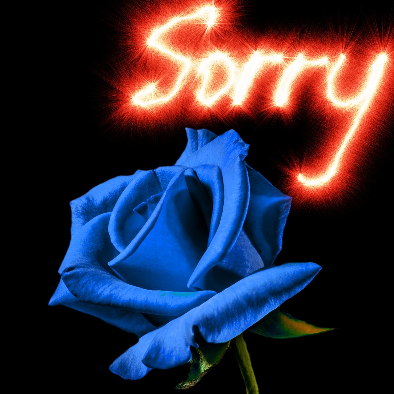 Rožė, Fonas, Atsiprašau, Mėlyna Roze, Atsiprašau, Atsiprasau, Meilė, Apgailestauju, Atleisti, Skyrybų