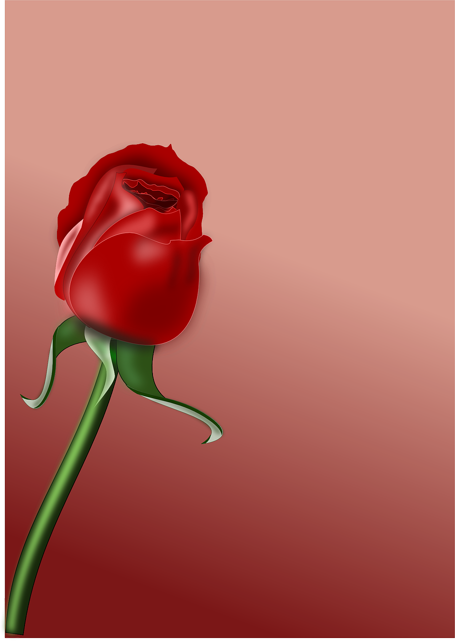 Rožė, Gėlė, Meilė, Romantika, Romantiškas, Žydi, Flora, Raudona, Grožis, Nemokama Vektorinė Grafika