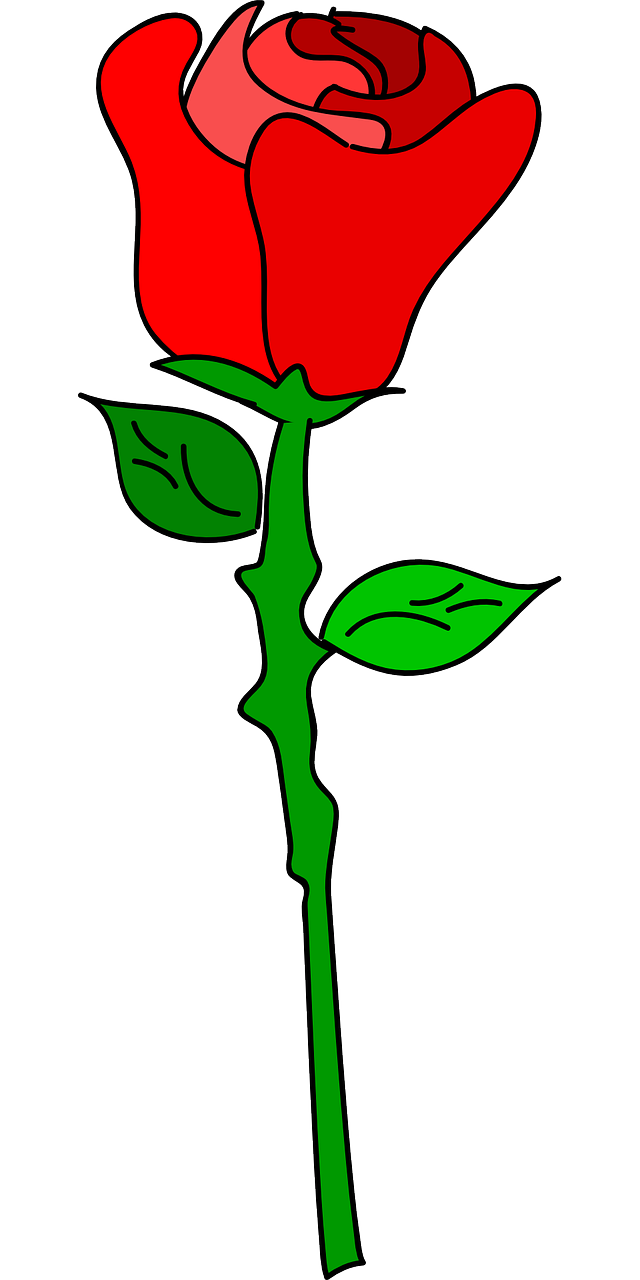 Rožė, Gėlė, Meilė, Romantika, Romantiškas, Žydi, Rosaceae, Aštrus, Nemokama Vektorinė Grafika, Nemokamos Nuotraukos