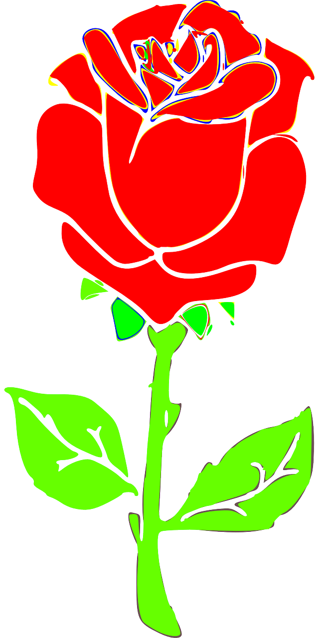 Rožė, Gėlė, Žiedas, Augalas, Nemokama Vektorinė Grafika, Nemokamos Nuotraukos,  Nemokama Licenzija