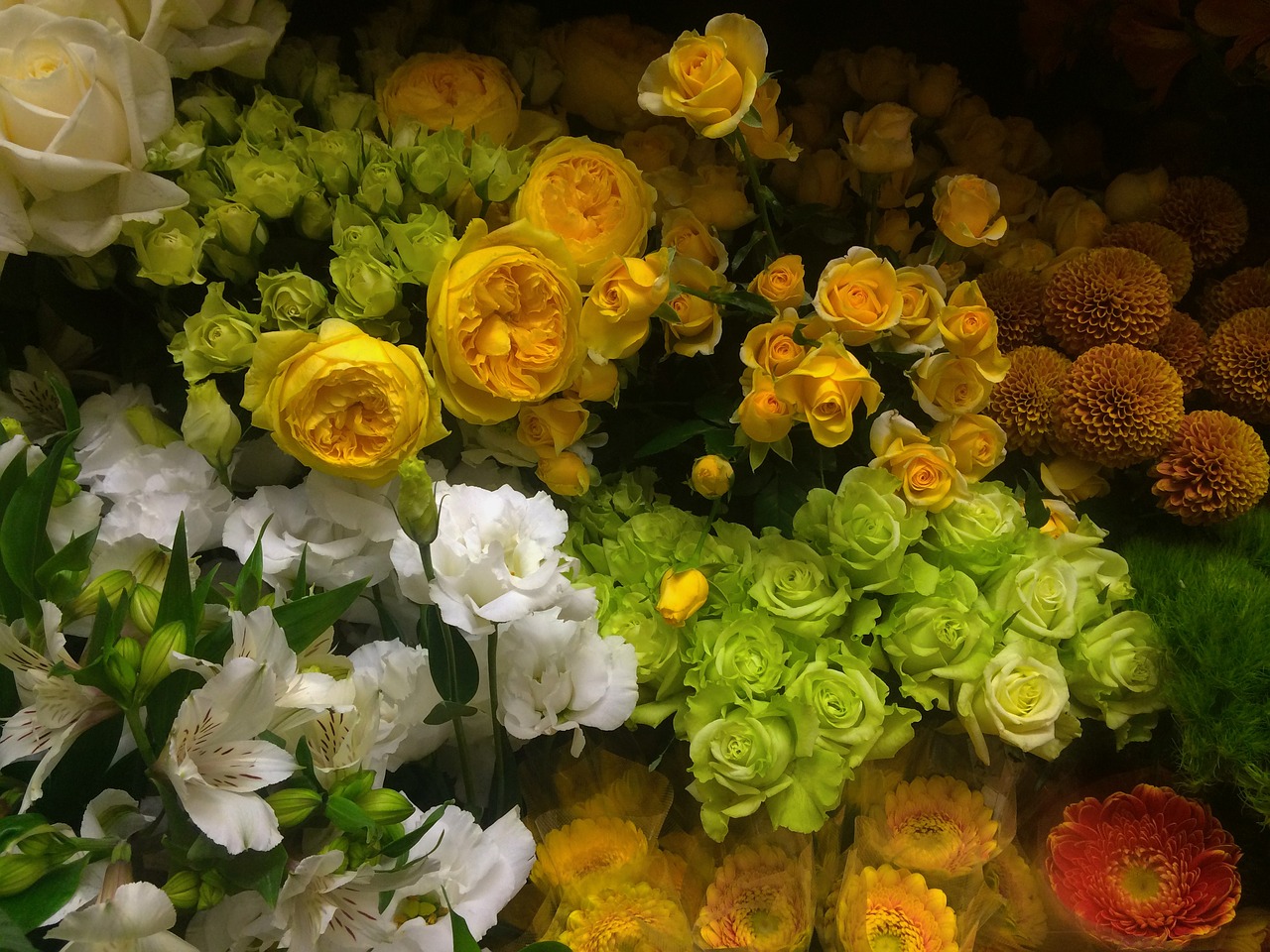 Rožė, Geltona, Balta, Žalias, Floristas, Gėlės, Departamentas, Yokosuka Centras, Japonija, Nemokamos Nuotraukos