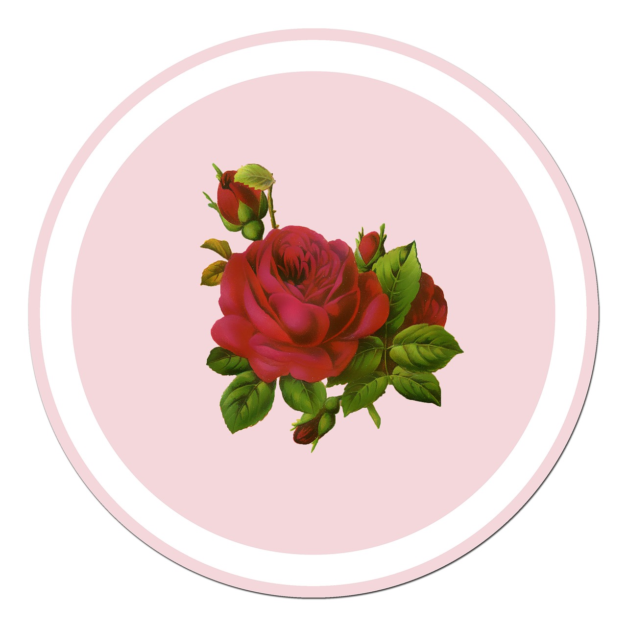 Rožė, Raudona Roze, Lipdukas, Vintage, Menas, Scrapbooking, Gėlė, Romantiškas, Valentine, Meilė