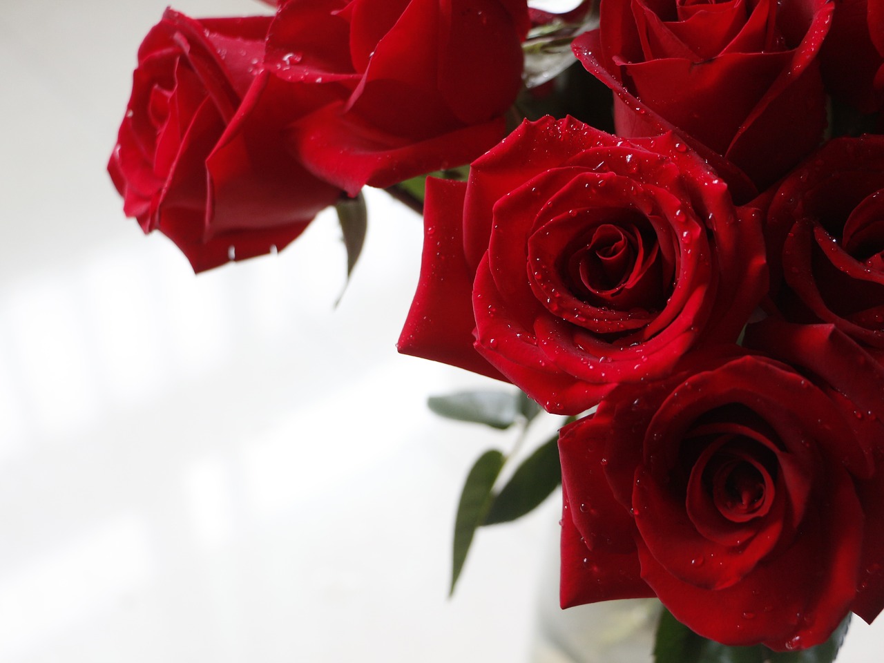 Rožė, Raudona Roze, Valentine, Gėlė, Meilė, Nemokamos Nuotraukos,  Nemokama Licenzija