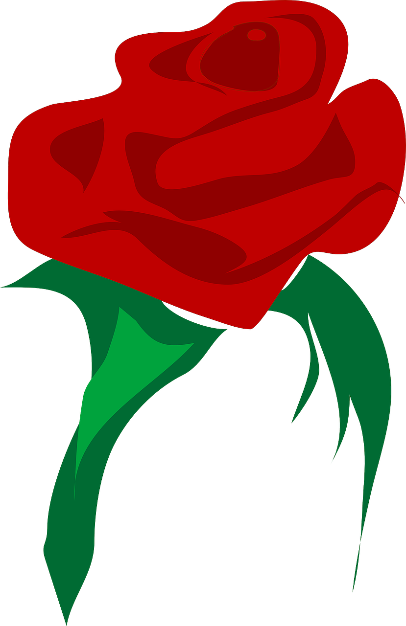 Rožė, Meilė, Gėlė, Raudona, Augalas, Valentine, Tatuiruotė, Romantiškas, Vestuvės, Gėlių