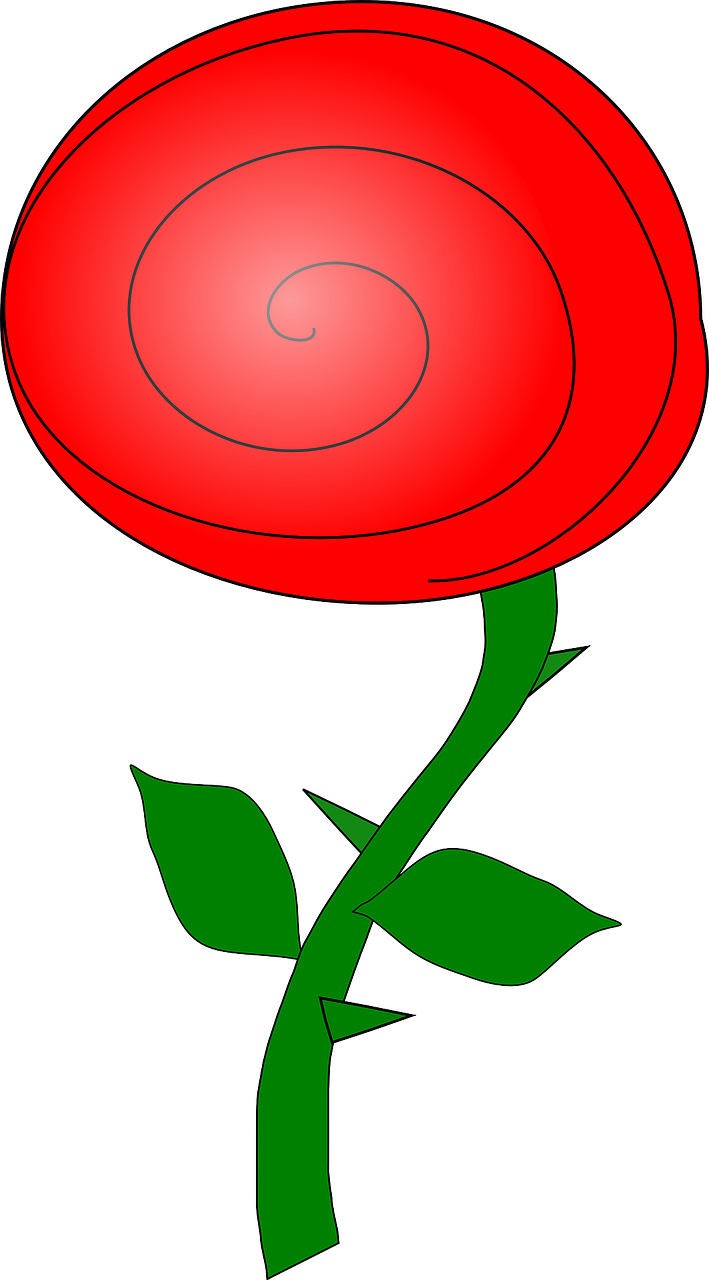 Rožė, Raudona, Gėlė, Augalas, Meilė, Gėlių, Budas, Žydėti, Pavasaris, Romantika