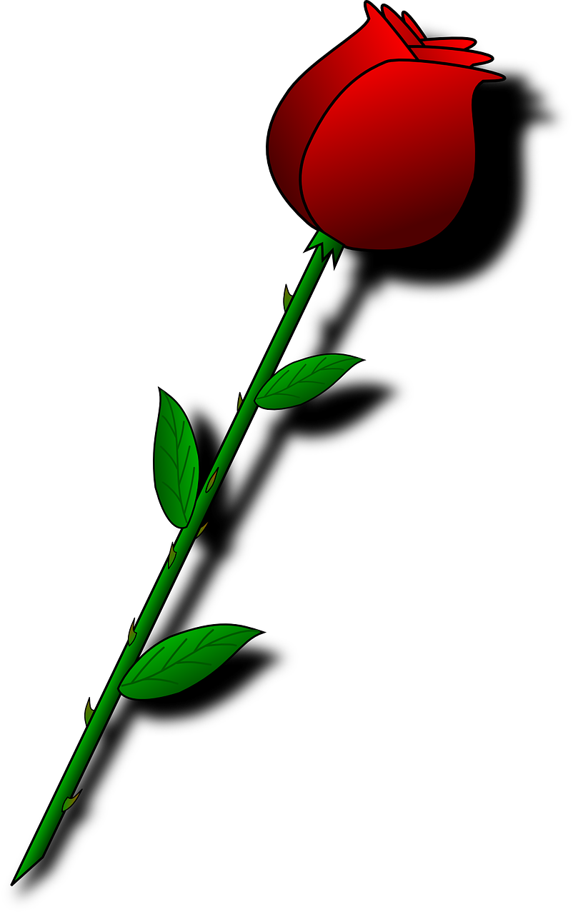 Rožė, Raudona, Gėlė, Rosa, Valentine, Romantika, Meilė, Dovanos, Nemokama Vektorinė Grafika, Nemokamos Nuotraukos