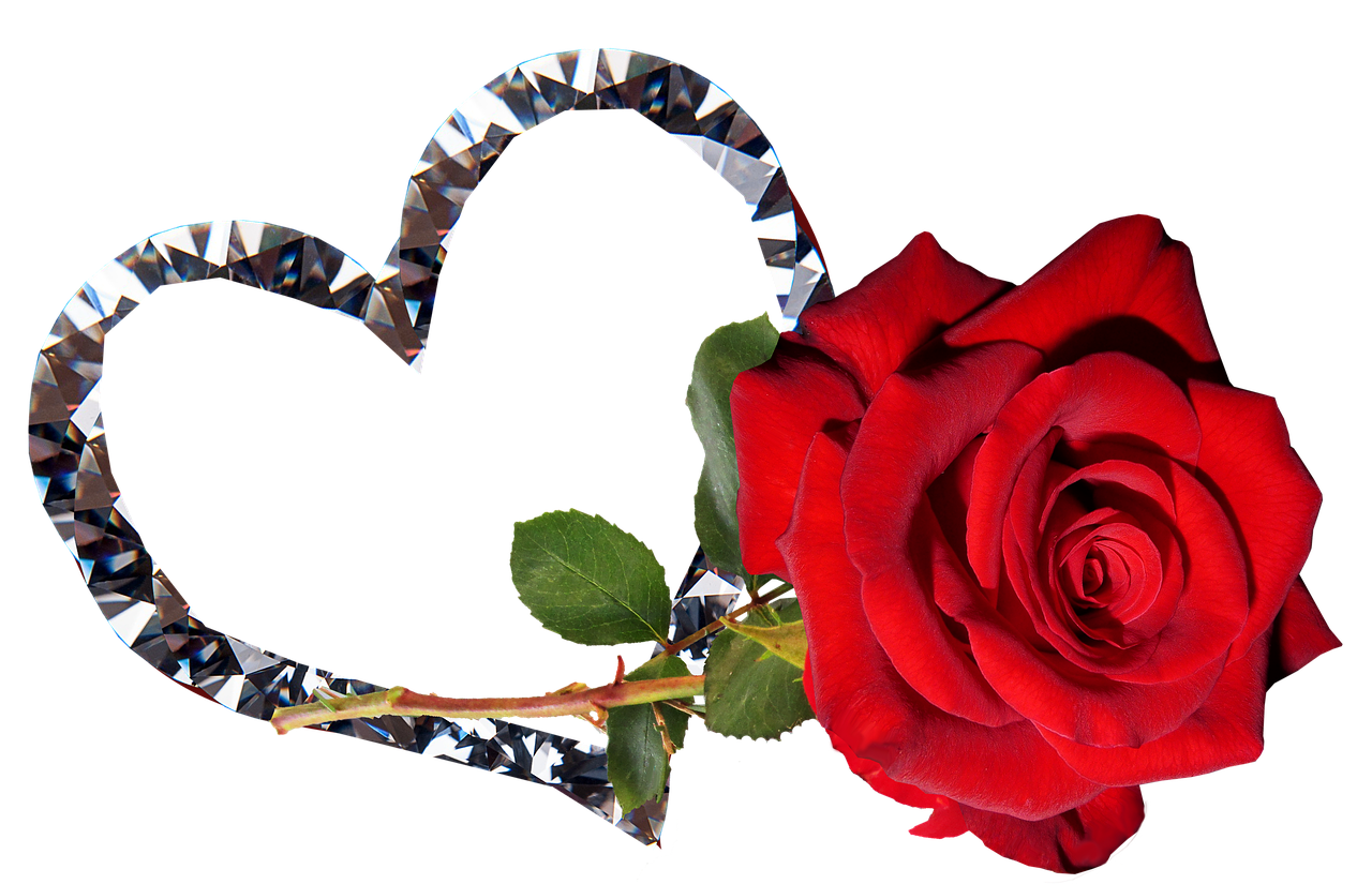 Rožė,  Raudona,  Gėlė,  Valentine,  Romantiškas,  Be Honoraro Mokesčio, Nemokamos Nuotraukos,  Nemokama Licenzija