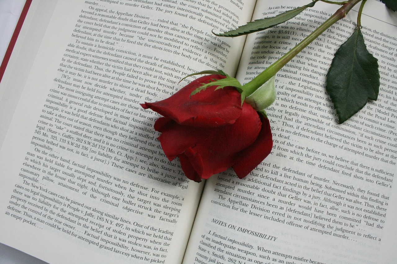 Rožė, Gėlė, Knyga, Raudona, Žodžiai, Nemokamos Nuotraukos,  Nemokama Licenzija