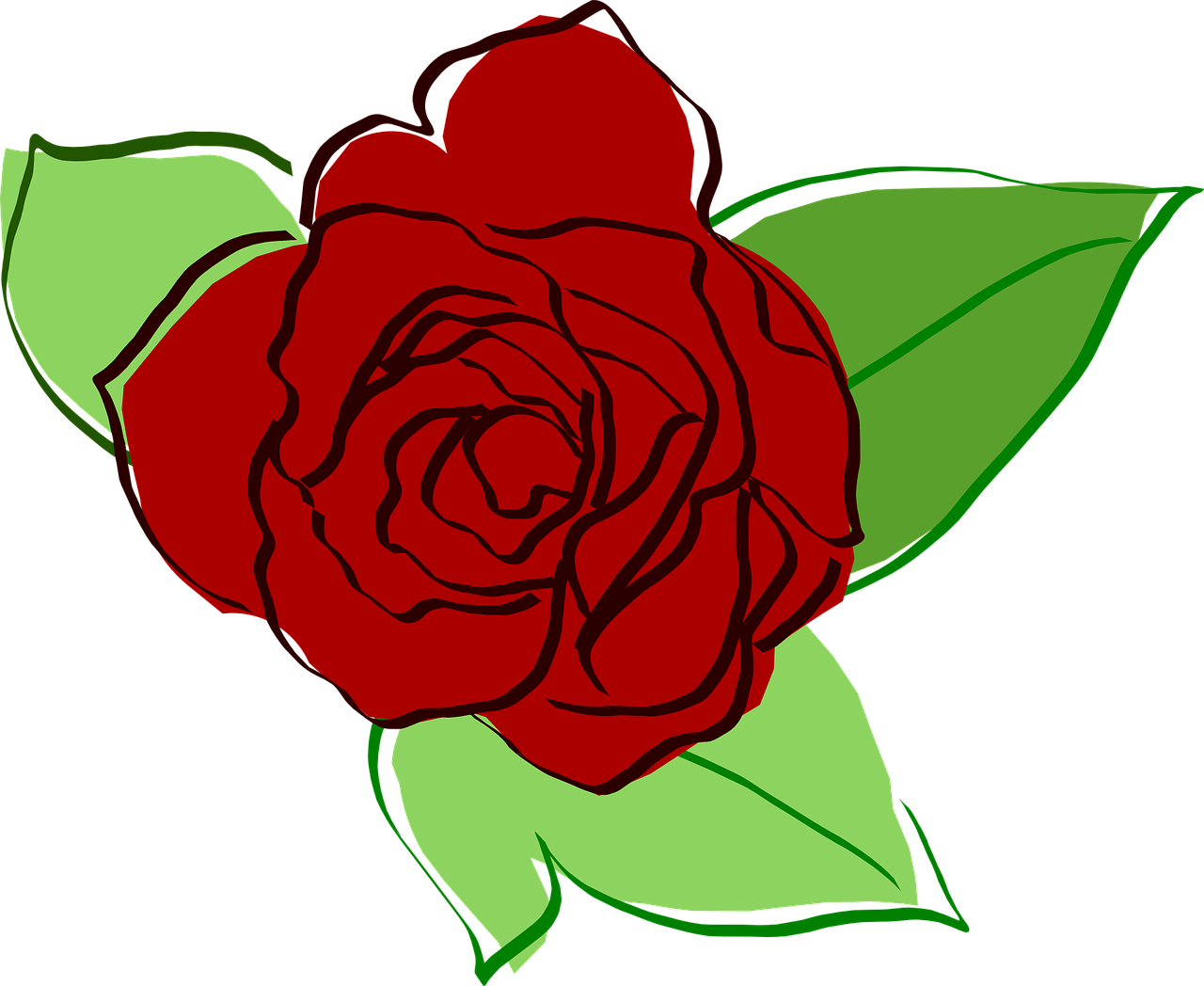 Rožė,  Raudona Roze,  Gėlė,  Flora,  Žalias Lapas,  Gamta,  Meilė,  Nemokama Vektorinė Grafika, Nemokamos Nuotraukos,  Nemokama Licenzija