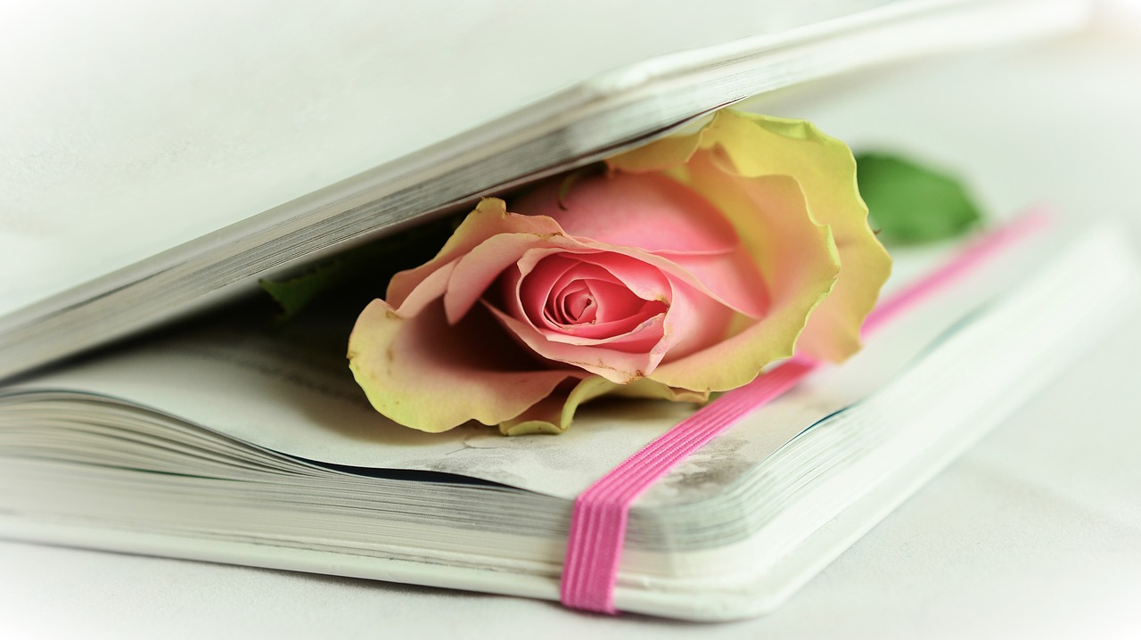 Rožė,  Knyga,  Poezija,  Balta,  Rožinis,  Švelnus,  Atmintis,  Romantiškas,  Uždaryti, Nemokamos Nuotraukos
