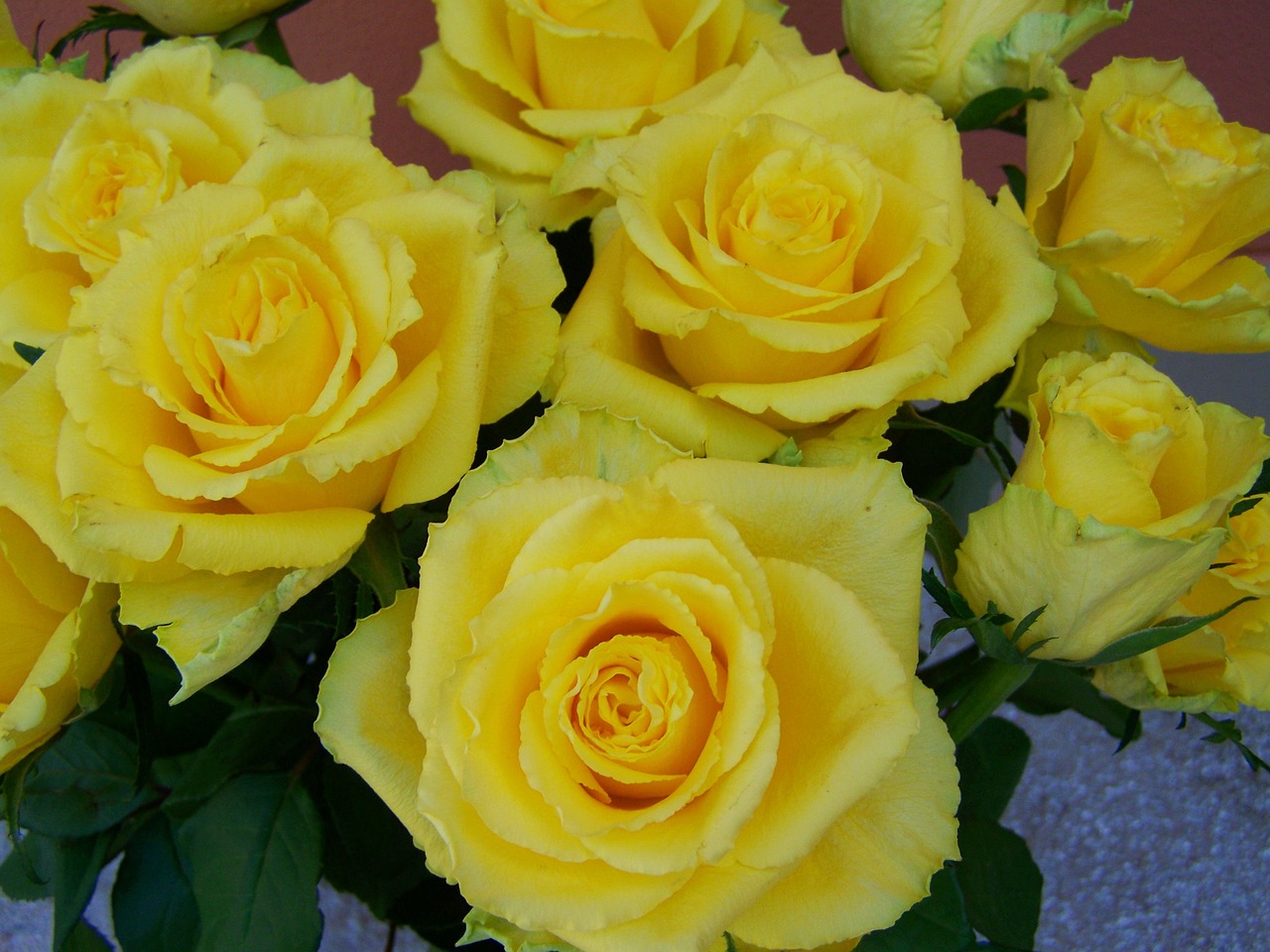 Rožių Puokštė, Geltonos Rožės, Skintos Gėlės, Nemokamos Nuotraukos,  Nemokama Licenzija