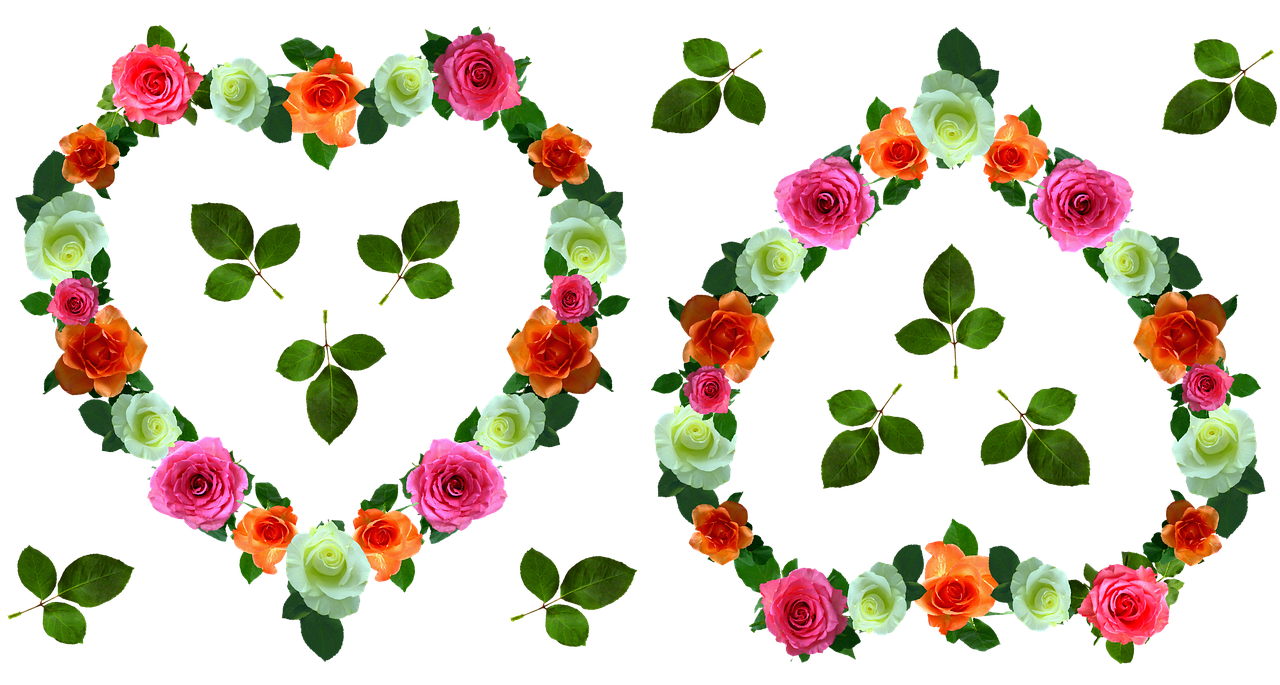 Rožių Modelis, Rožės, Širdis, Fono Paveikslėlis, Romantika, Gėlė, Valentino Diena, Romantiškas, Gėlės, Išaugo Žydėti