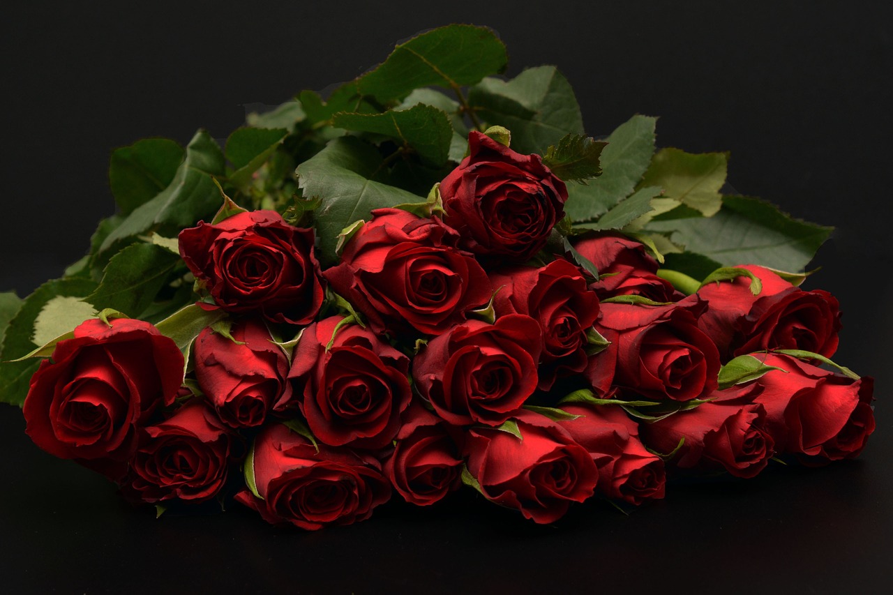 Rožės, Raudona, Raudonos Rožės, Raudona Rožė, Rožių Puokštė, Gėlės, Grožis, Meilė, Valentino Diena, Romantiškas