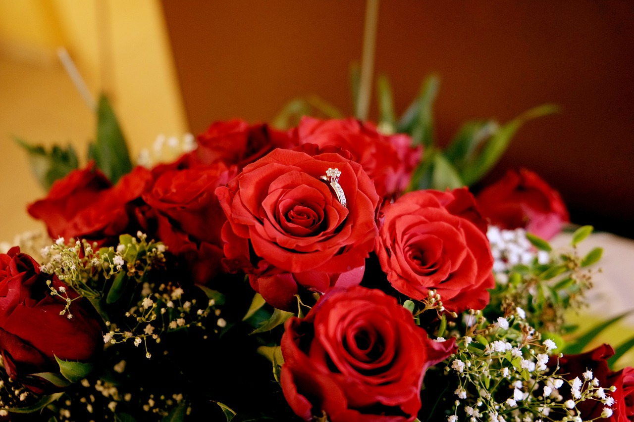 Rožės, Rožių Puokštė, Gėlė, Puokštė, Meilė, Gėlės, Valentino Diena, Romantiškas, Įsitraukimas, Prašymas
