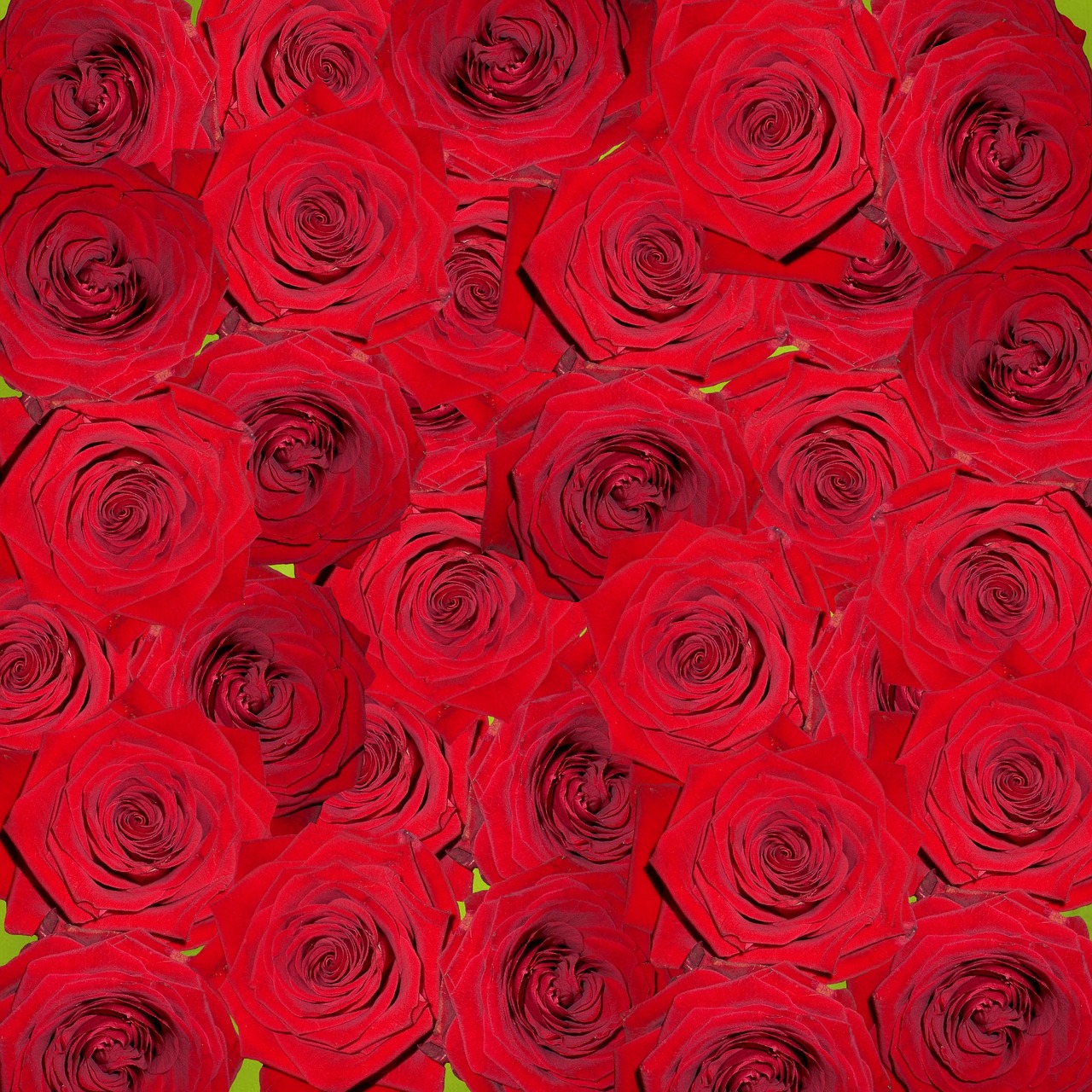 Rožės, Gamta, Gėlės, Raudona, Skaitmeninis Menas, Kompiuterinė Grafika, Fonas, Spalva, Rožių Žydėjimas, Flora