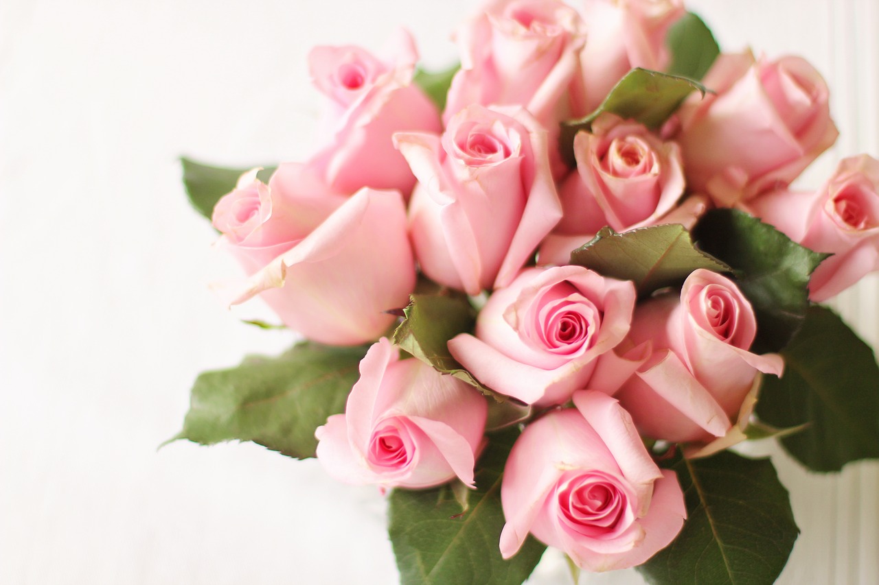 Rožės, Rožinis, Rožinės Rožės, Valentino Diena, Gėlė, Žiedlapis, Romantika, Romantiškas, Meilė, Valentine