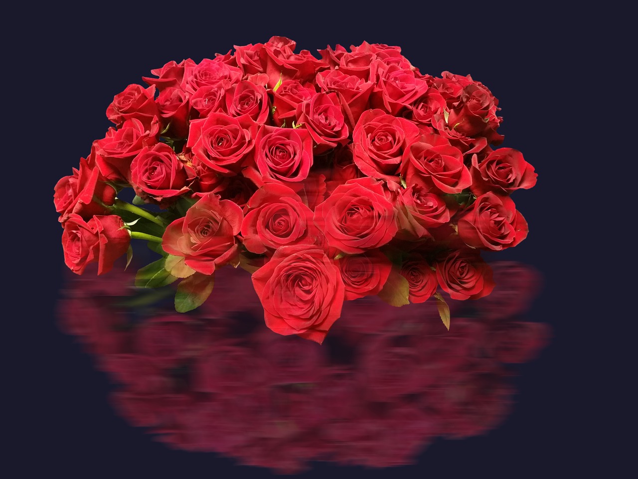 Rožės, Gėlės, Žiedas, Žydėti, Rožių Žydėjimas, Rožių Šeimos, Raudonos Rožės, Atidaryta Roze, Raudona Roze, Rosaceae
