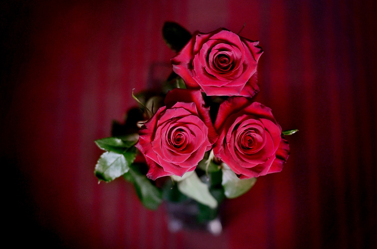 Rožės, Raudonos Rožės, Puokštė, Gėlės, Gėlė, Raudona, Graži Gėlė, Raudona Roze, Flora, Gražios Gėlės