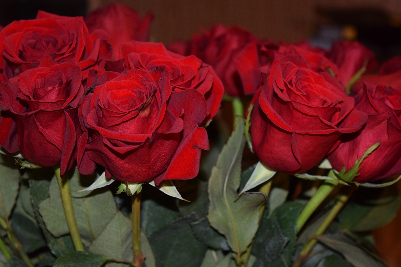 Rožės, Raudonos Rožės, Valentines, Valentine, Romantiškas, Žiedas, Raudona Roze, Meilė, Romantika, Nemokamos Nuotraukos