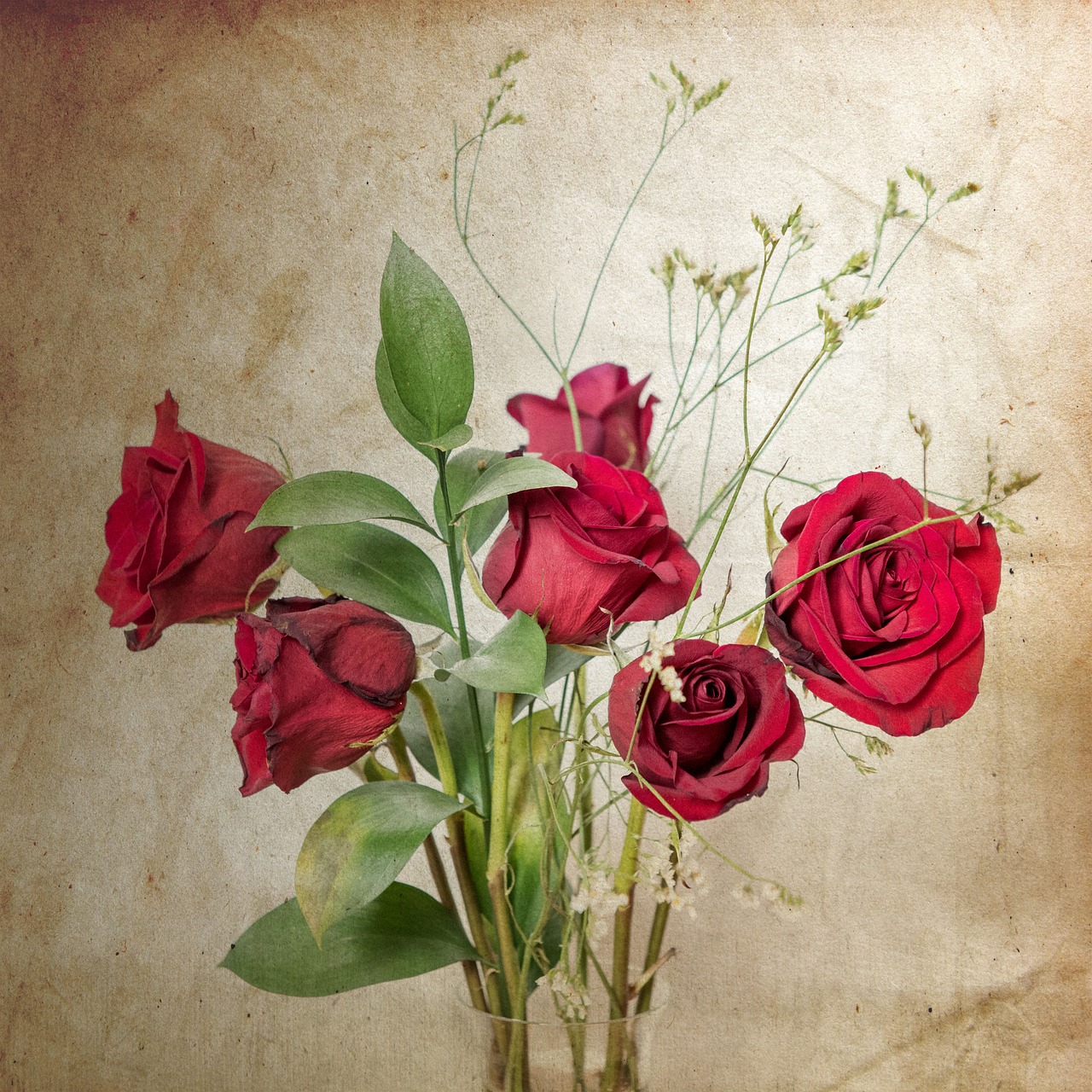 Rožės, Raudonos Rožės, Vintage, Valentine, Nemokamos Nuotraukos,  Nemokama Licenzija