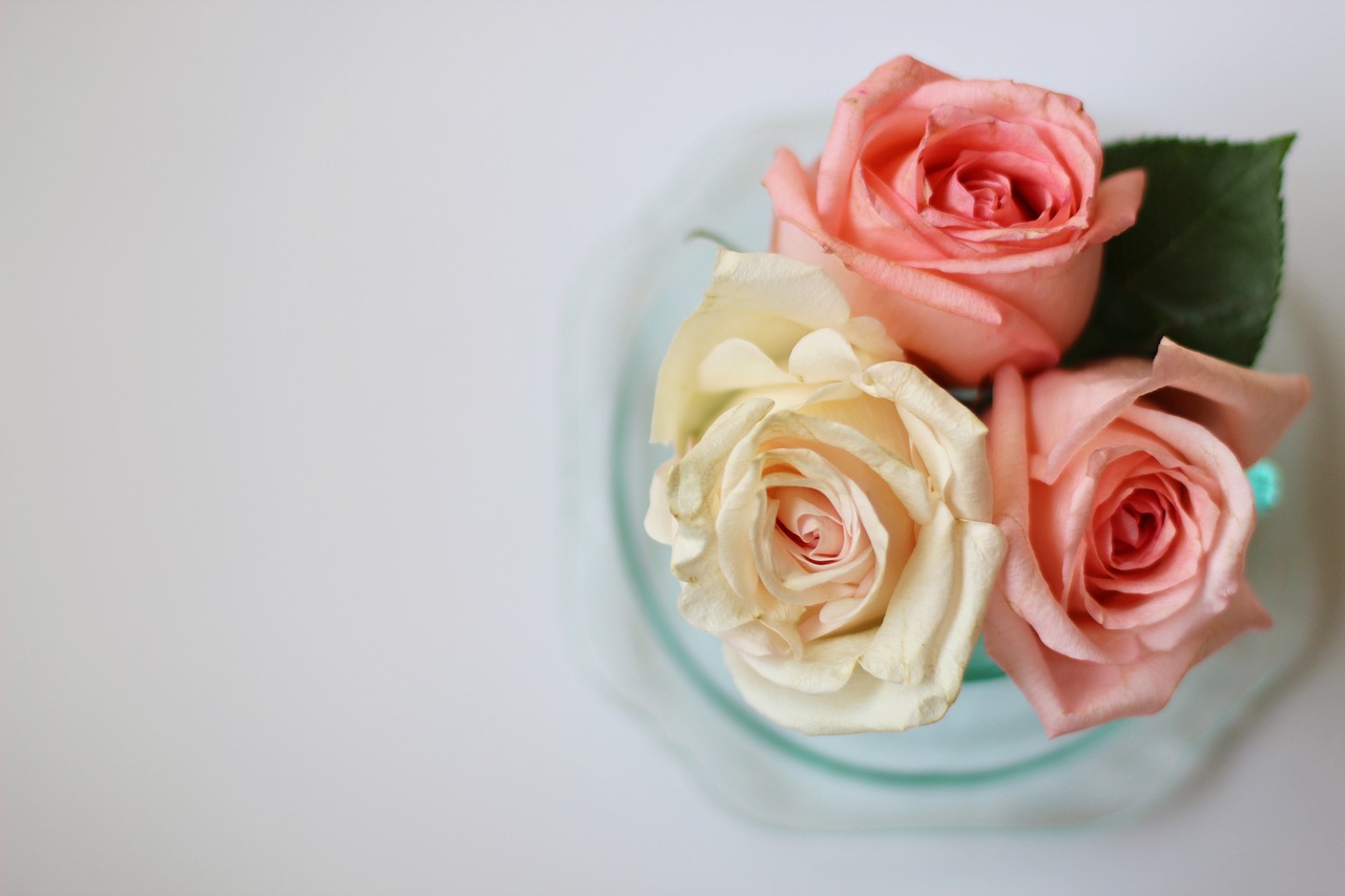 Rožės,  Gėlės,  Vintage,  Fonas,  Gėlių,  Puokštė,  Meilė,  Žiedas,  Rožinis,  Romantiškas