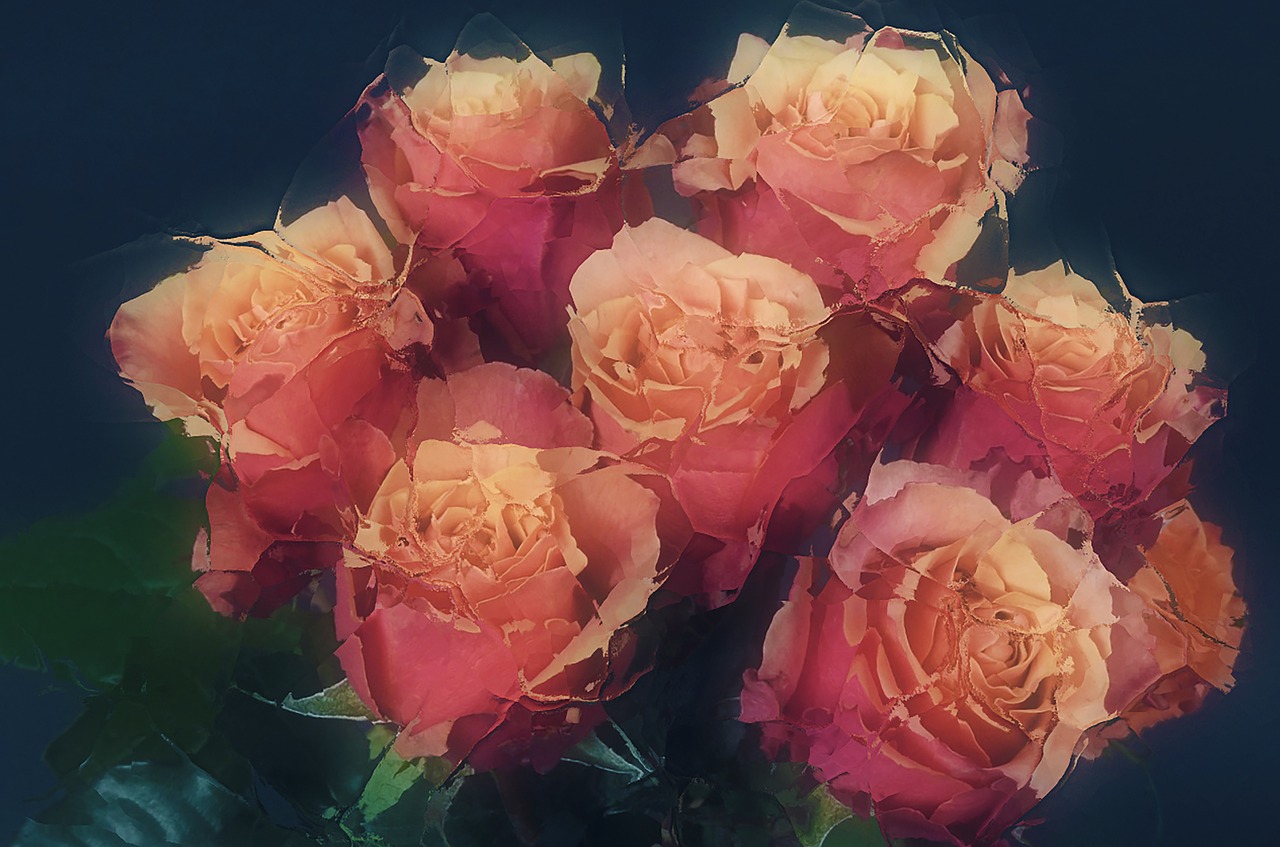 Rožės Ledu, Sušaldyta, Romantiškas, Gėlės, Menas, Rožinis, Rožinės Gėlės, Gamta, Šaltis, Žiema