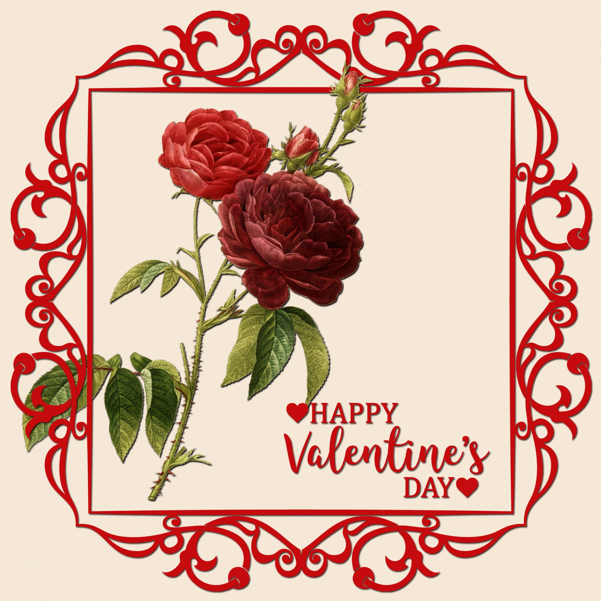Rožės,  Raudona,  Vintage,  Valentine,  Kortelė,  Valentino,  Valentino & Nbsp,  Kortelė,  Šablonas,  Rėmas
