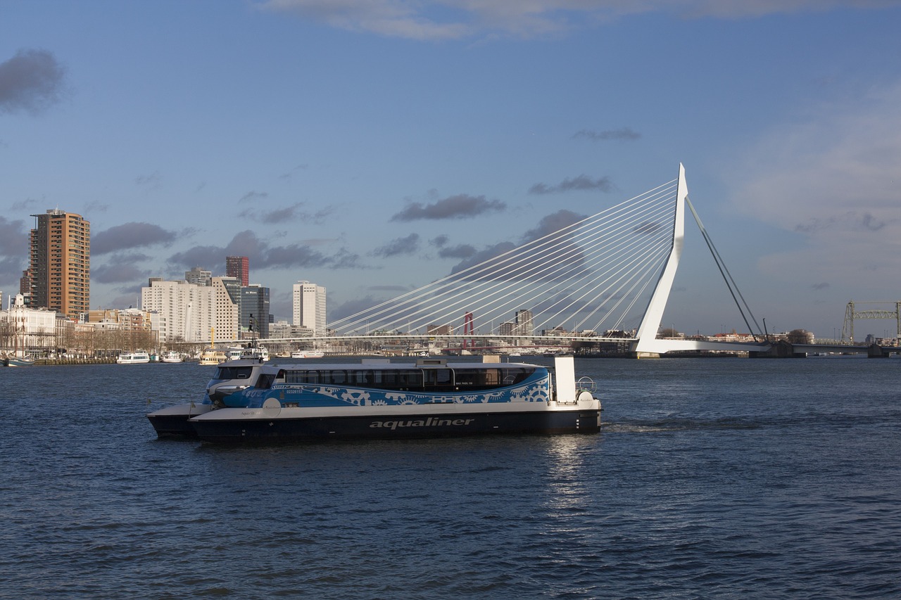 Rotterdam, Tinklelis, Erasmo Tiltas, Vanduo, Nauja Akis, Upė, Tiltas, Laivai, Laivyba, Nemokamos Nuotraukos