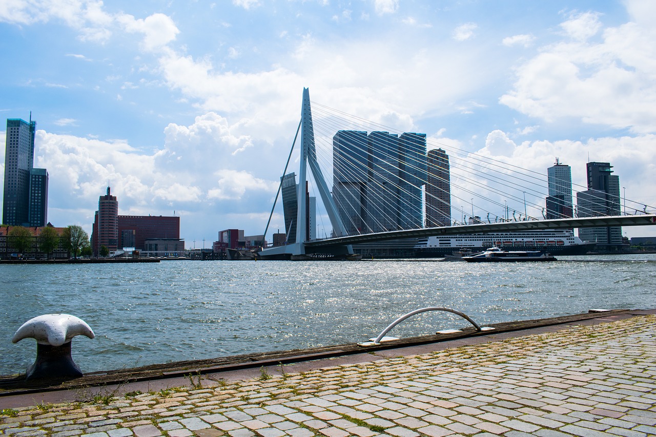 Rotterdam, Tiltas, Architektūra, Miesto Panorama, Nyderlandai, Europa, Šiuolaikiška, Pastatas, Upė, Miestas