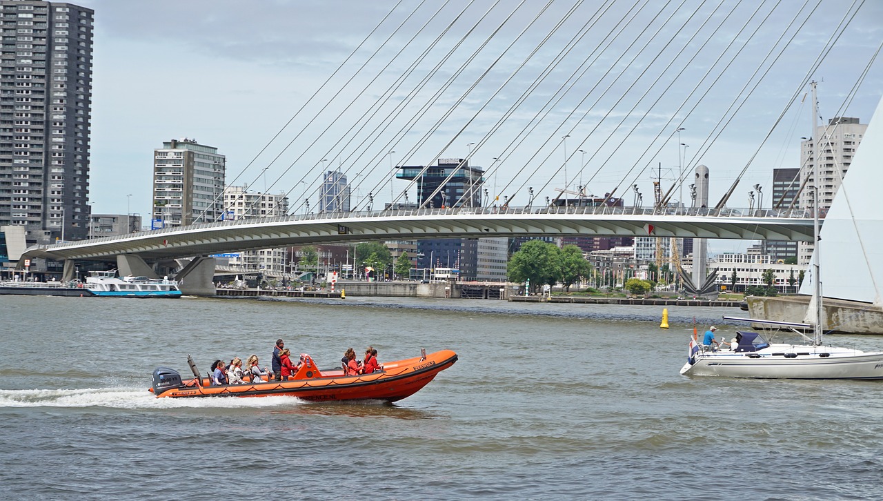 Roterdamas,  Erasmus Tiltas,  Valtis,  Architektūra, Nemokamos Nuotraukos,  Nemokama Licenzija