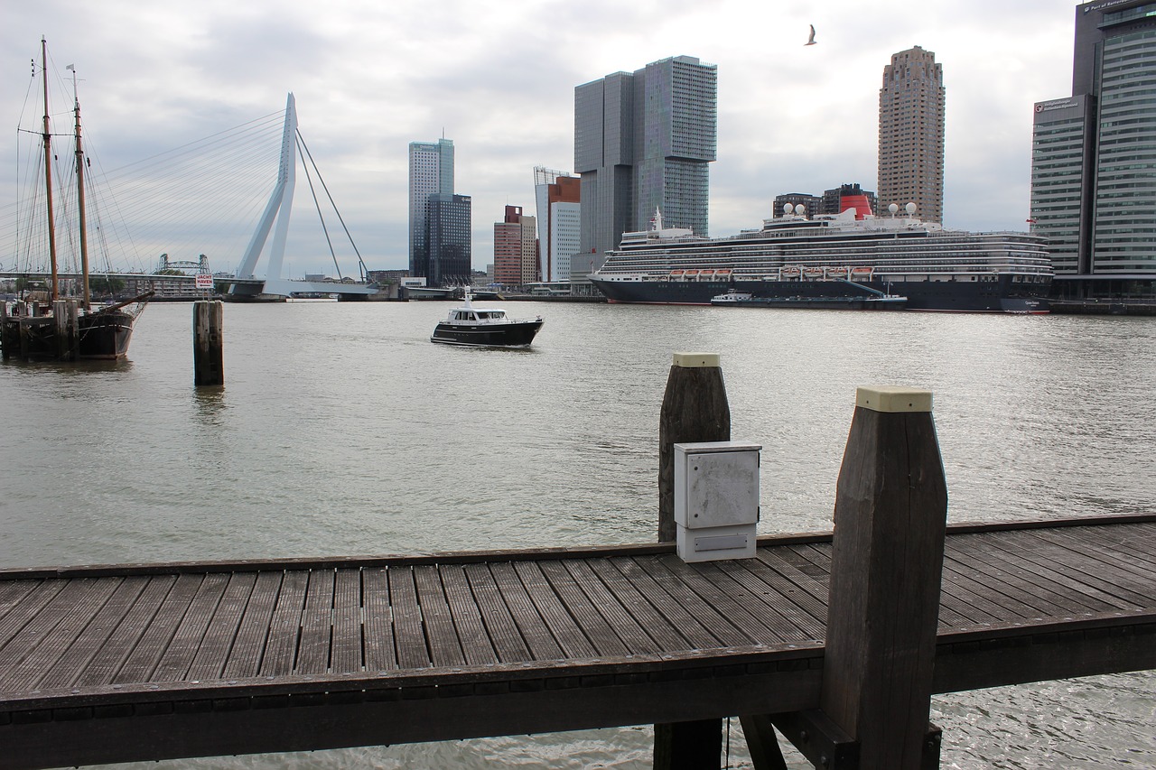 Roterdamas,  Erasmus Tiltas,  Nauja Mešas Pietų Olandija, Nemokamos Nuotraukos,  Nemokama Licenzija
