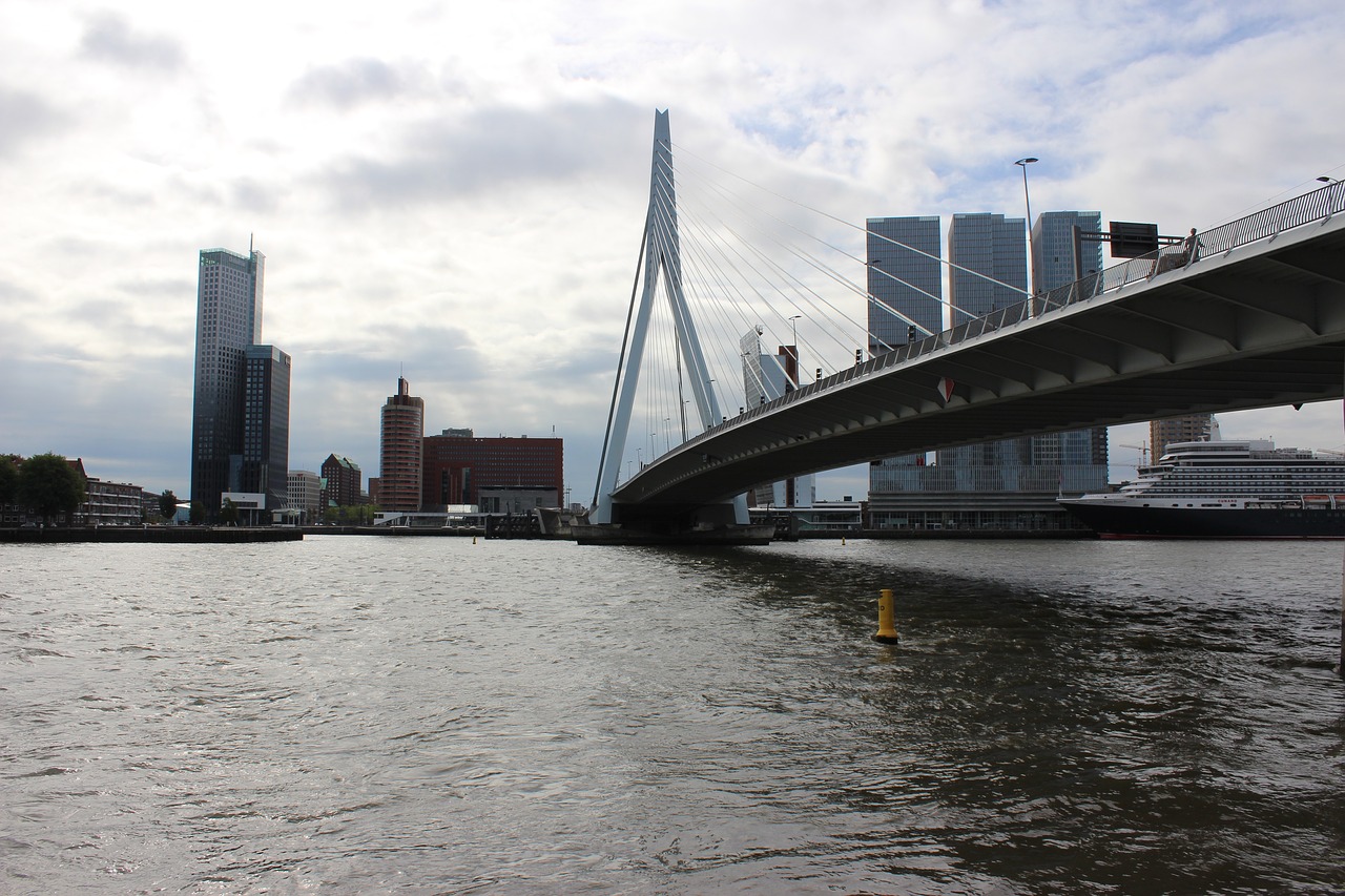 Roterdamas,  Erasmus Tiltas,  Nauja Mešas Pietų Olandija, Nemokamos Nuotraukos,  Nemokama Licenzija