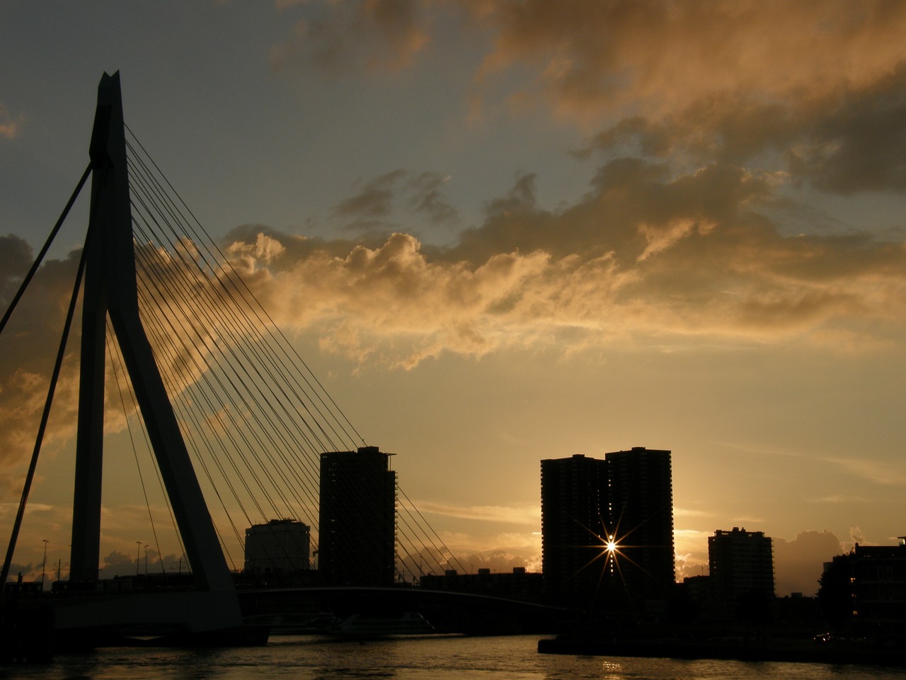 Rotterdam, Erasmo Tiltas, Uostas, Nemokamos Nuotraukos,  Nemokama Licenzija
