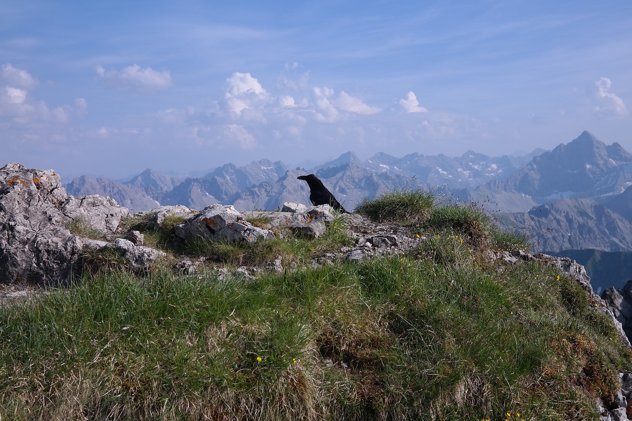 Kietas Ragas, Aukščiausiojo Lygio Susitikimas, Perspektyva, Alpių, Allgäu, Allgäu Alpės, Hochvogel, Nemokamos Nuotraukos,  Nemokama Licenzija