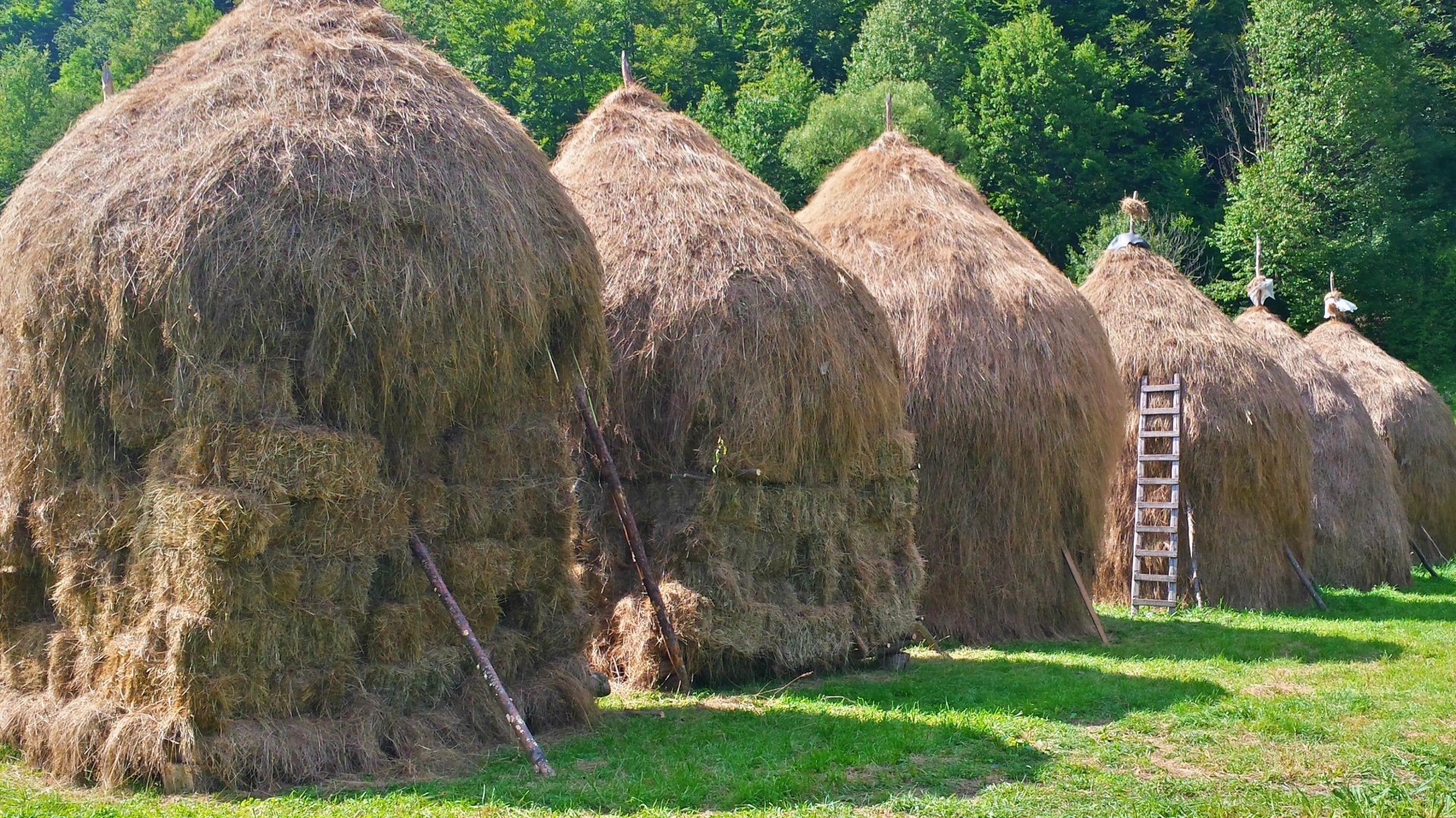 Šienas,  Hayrick,  Laukas,  Kaimas,  Romanija,  Tradicinis,  Eilių Hayricks, Nemokamos Nuotraukos,  Nemokama Licenzija