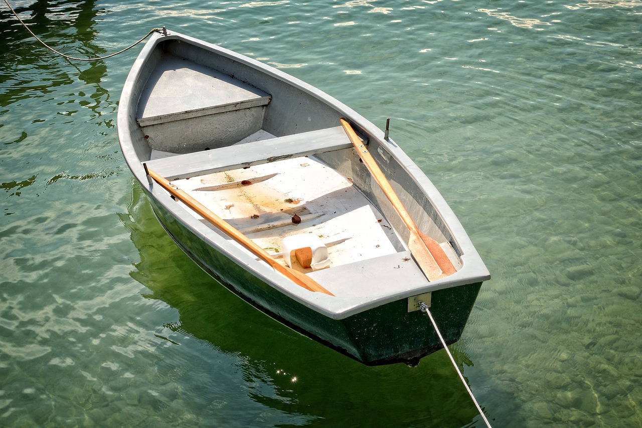 Irklavimo Valtis, Boot, Gelbėjimo Valtis, Ežeras, Vanduo, Laisvalaikis, Vandens Sportas, Irklavimas, Irklas, Gamta