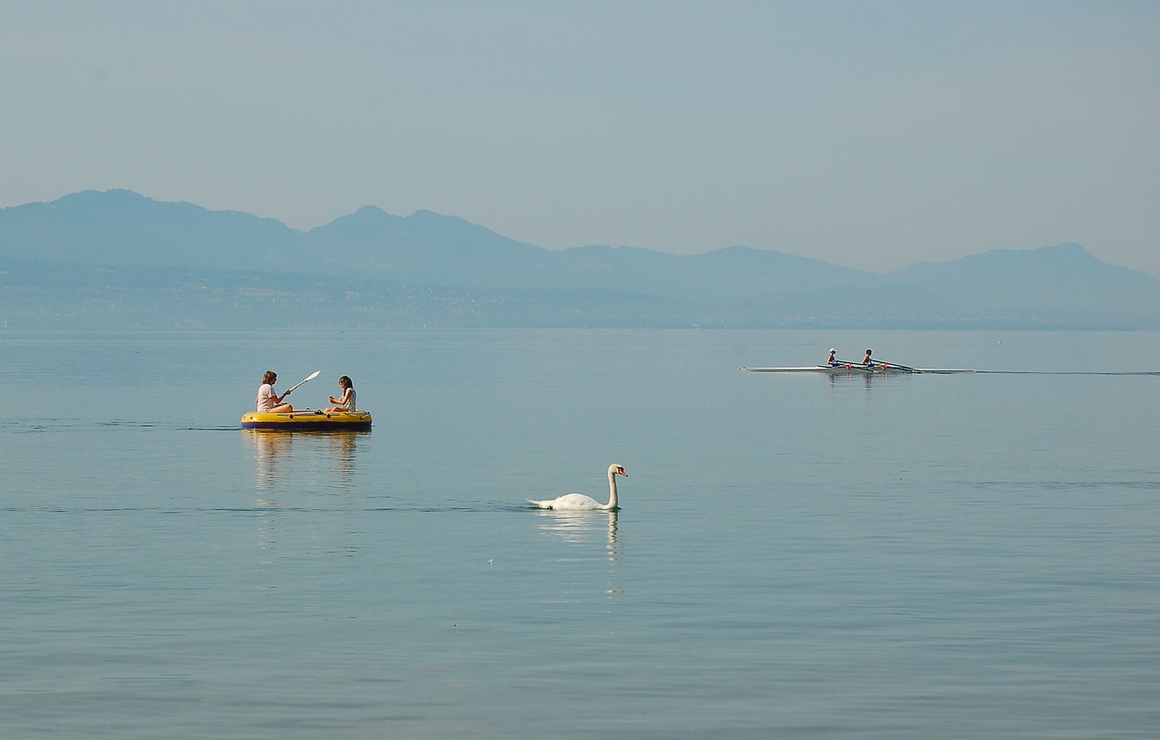 Guminė Pakaba, Ežeras, Geneva, Lausanne, Ežero Geneva, Šveicarija, Vanduo, Nuotaika, Nemokamos Nuotraukos,  Nemokama Licenzija