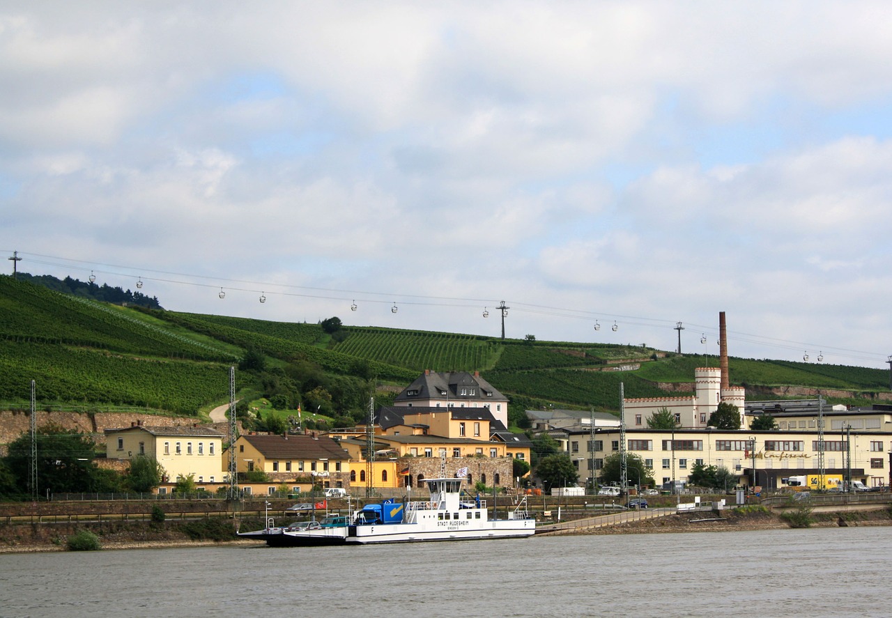 Rüdesheim, Rinas, Bankas, Kraštovaizdis, Miestas, Nemokamos Nuotraukos,  Nemokama Licenzija