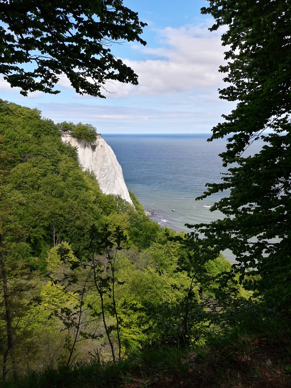 Rügen, Karaliaus Kėdė, Baltijos Jūra, Balti Uolos, Miškas, Jūra, Debesys, Kraštovaizdis, Kranto, Rokas