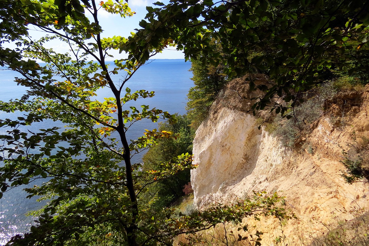 Rügen, Jašmundas, Nacionalinis Parkas, Lentynas, Nemokamos Nuotraukos,  Nemokama Licenzija