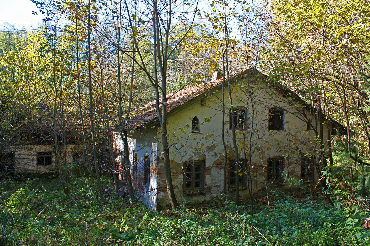 Sugadinti, Miškas, Raganos Namai, Haunting, Nemokamos Nuotraukos,  Nemokama Licenzija