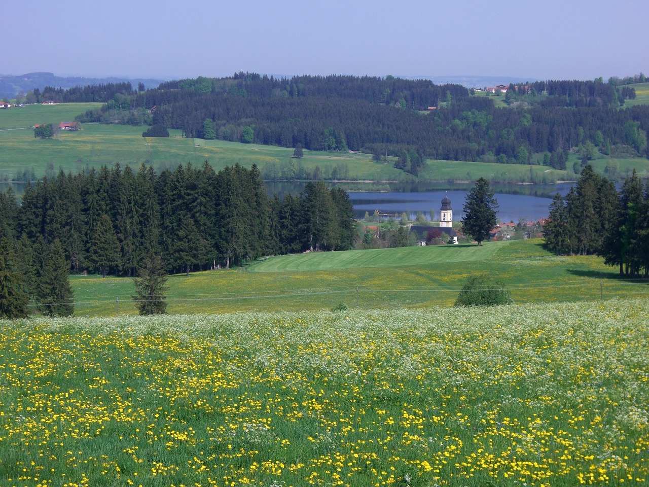 Griuvėsiai, Bokštas, Rottachsee, Elleghoehe, Miškas, Pieva, Gėlių Pieva, Panorama, Allgäu, Perspektyva