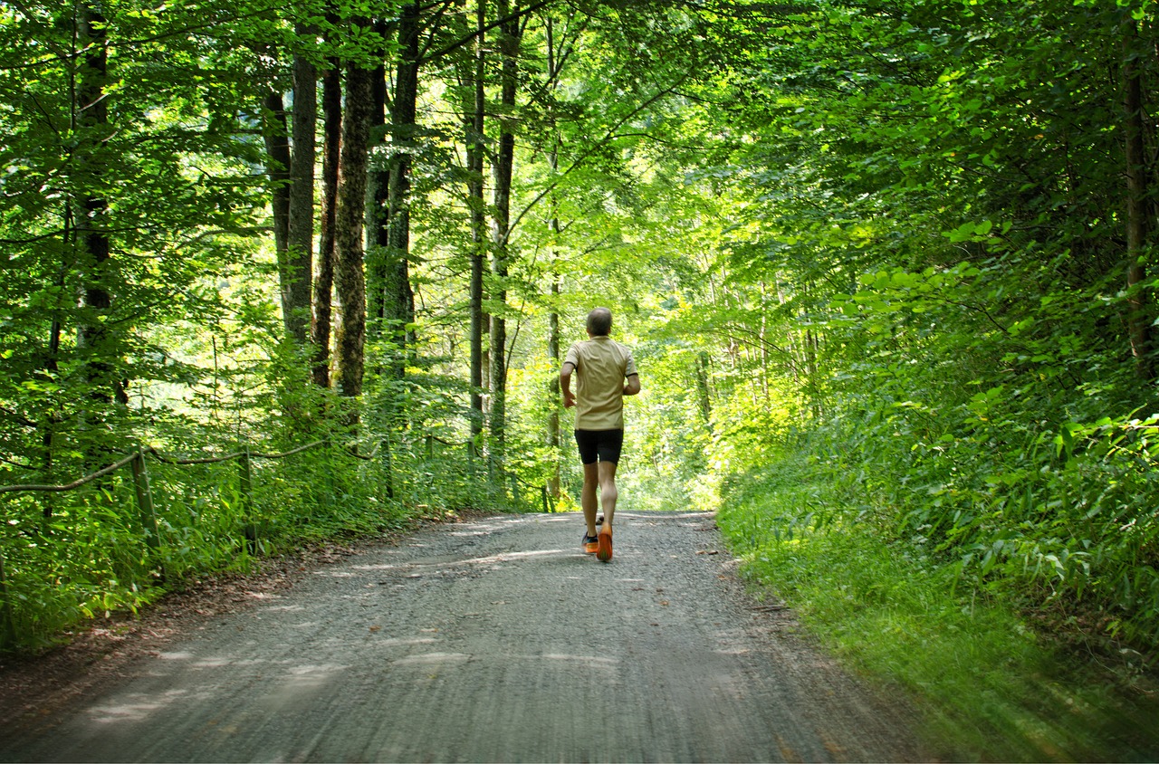 Paleisti, Jog, Sportas, Laisvalaikis, Sportiškas, Sveikas, Bėgiojimas, Mokymas, Į Sveikatą, Jogger